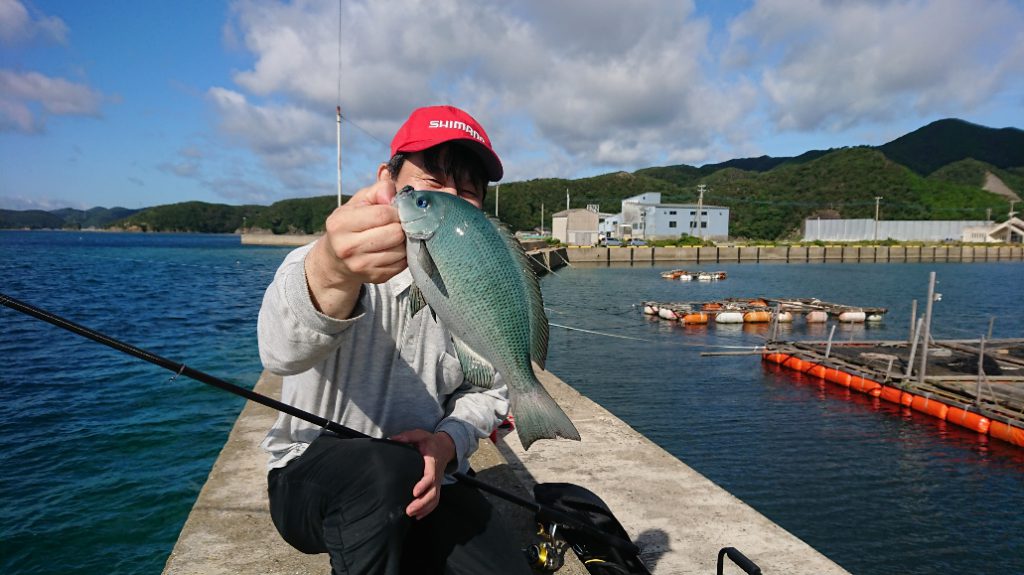 対馬初のフカセ開拓釣行 スタッフ釣行レポート 釣具 えさの販売のアングルグループ