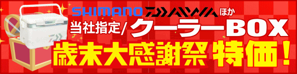 毎月25日はアングルの日！ポイント2倍デー！