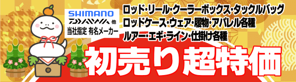 アングル「2025初売」